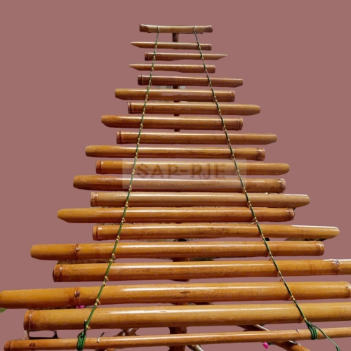 ĐÀN T'RƯNG 1 GIÀN 19 NỐT